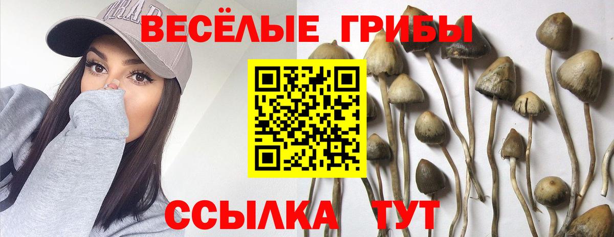 Галлюциногенные грибы GOLDEN TEACHER Белая Калитва